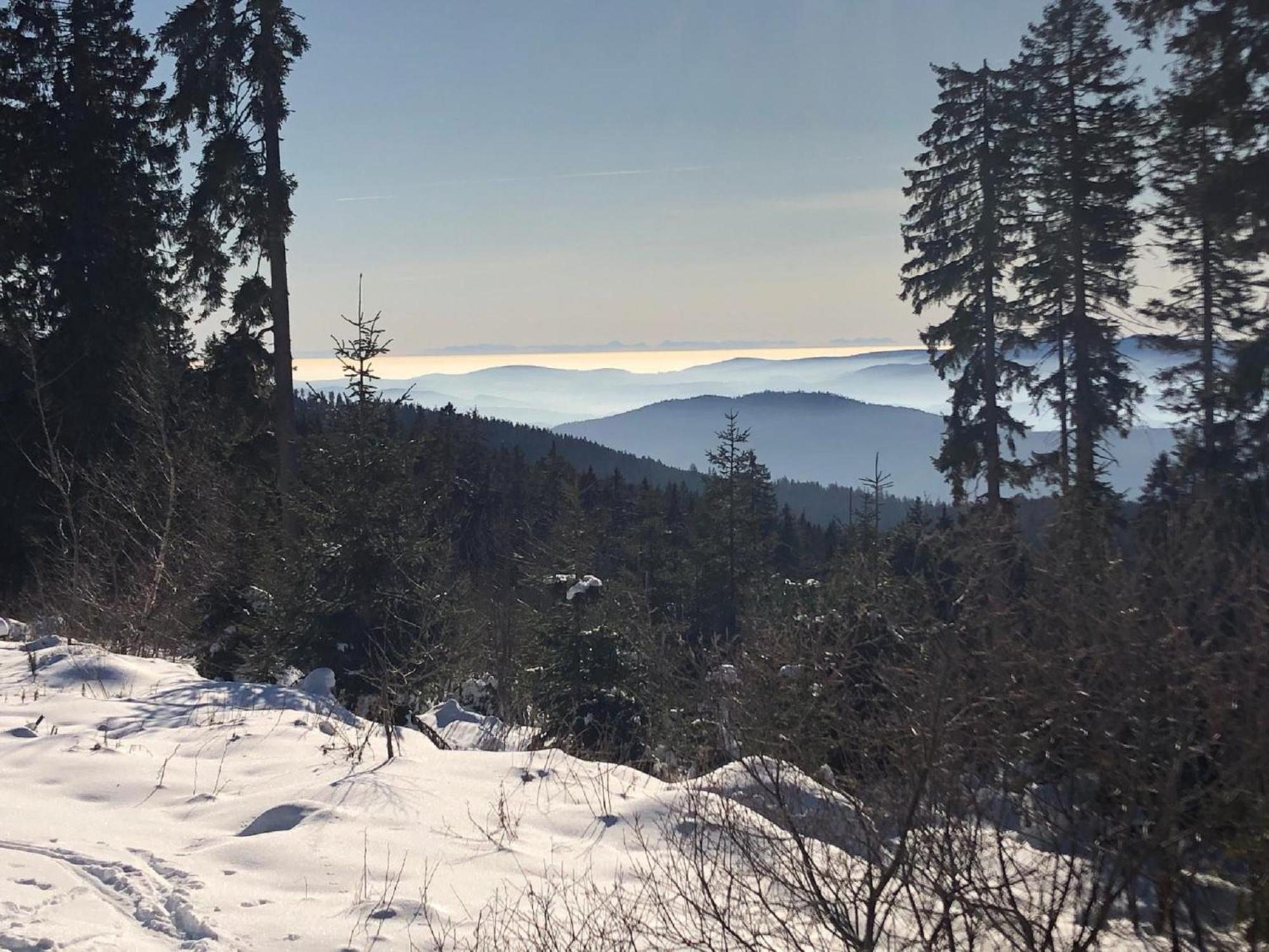 Ferienwohnung Penzkofer Zandt Esterno foto